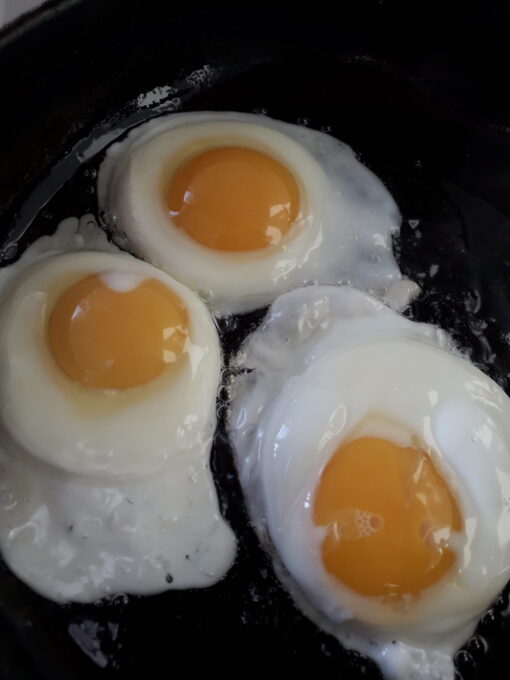 Organic Free Range Eggs - Image 4