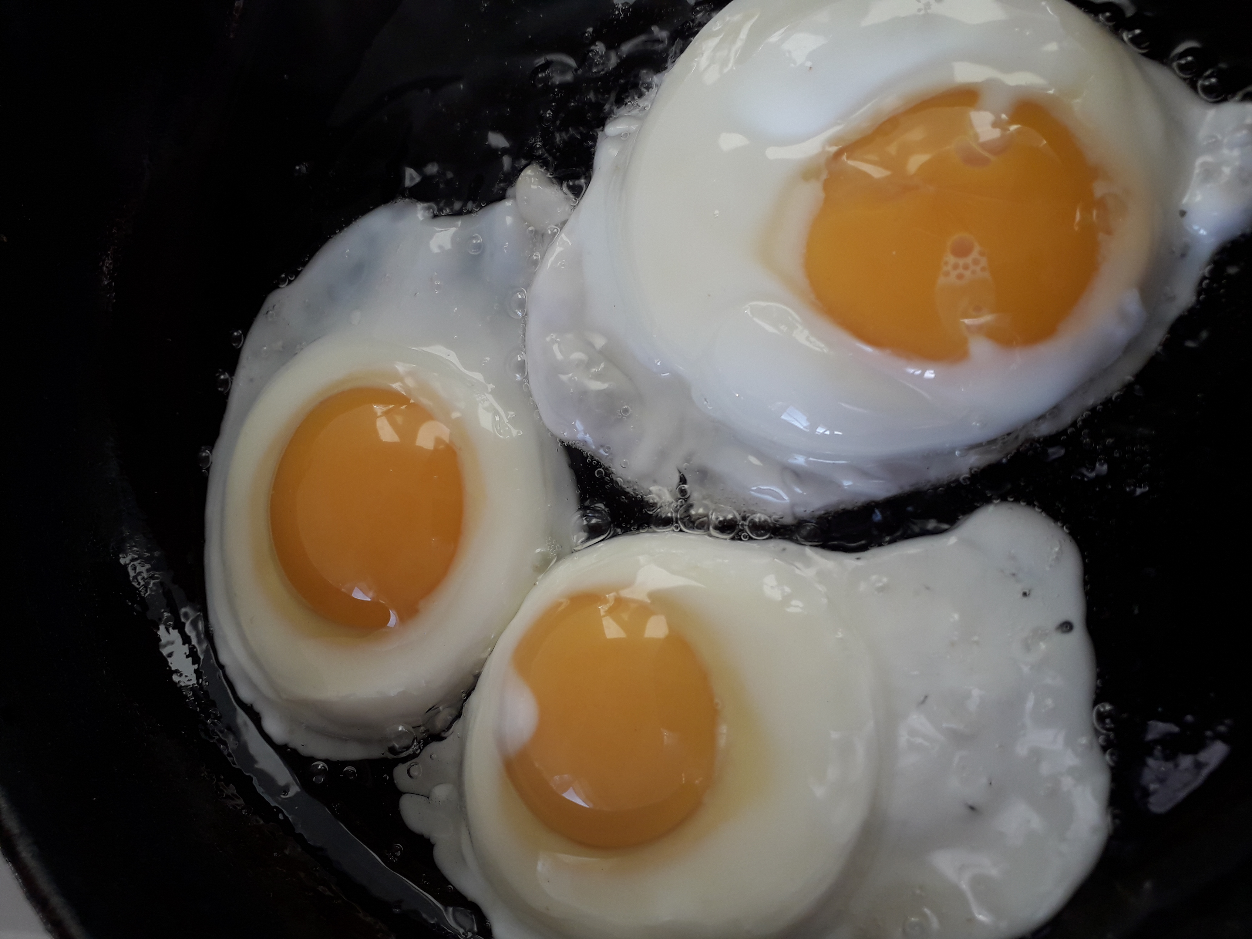 does free range eggs mean organic