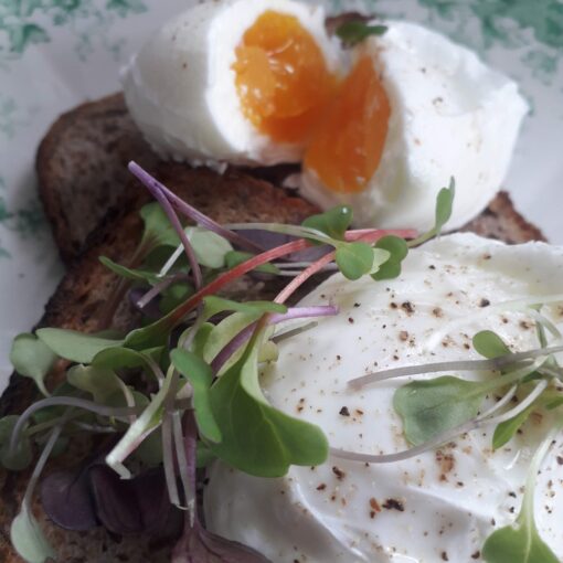 Organic Free Range Eggs - Image 3