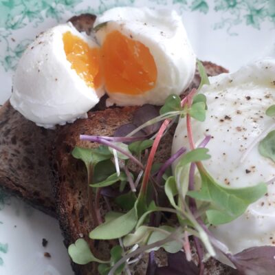 Organic Free Range Eggs