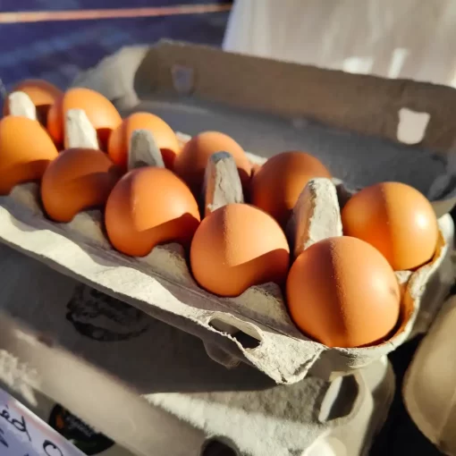 Organic Free Range Eggs