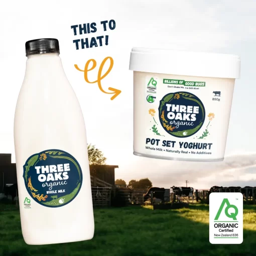 Certified Organic Whole Milk to Pot Set Yoghurt